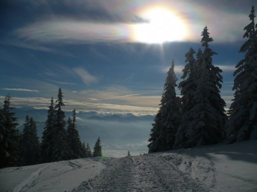 Altocumulus stratiformis