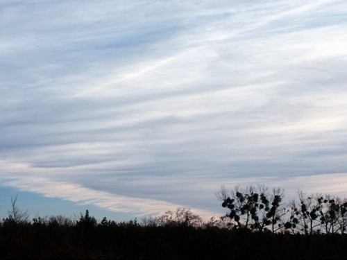 Altostratus undulatus