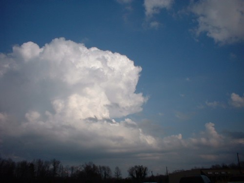 Cumulus congestus