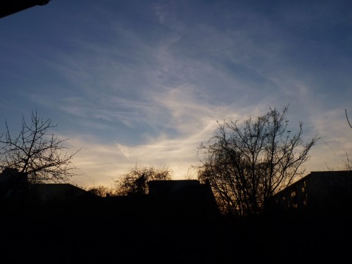 Cirrus fibratus