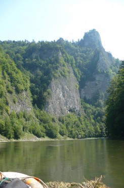 dunajec plte