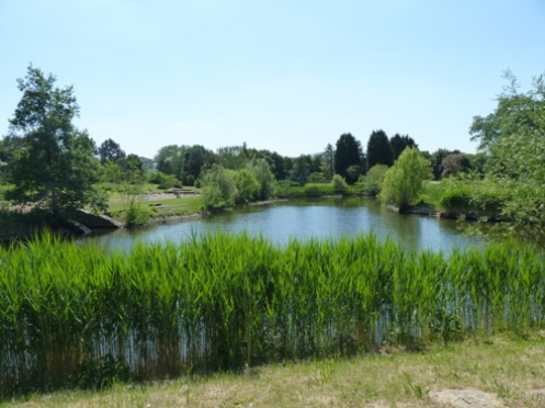 jazero spu botanická záhrada