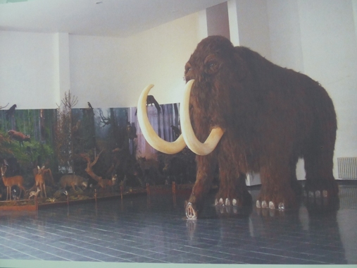mamut krsno nad kysucou