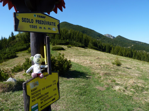 Sedlo Predvratie