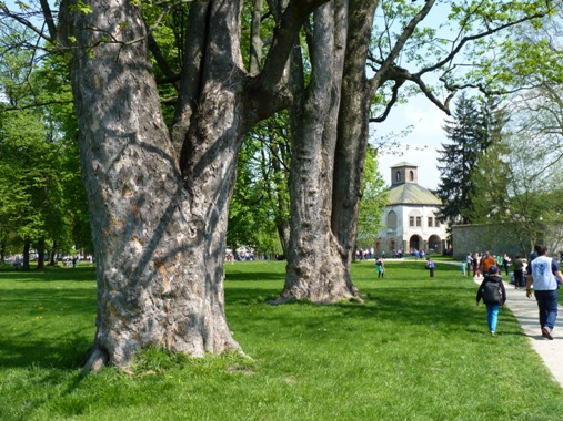 budatnsky park