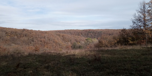 Prielom Mura